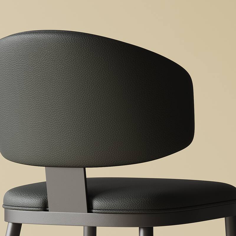 Side Chair Office Chair Accent Chair Kitchen Chair Leisure Chair Dining Chair Leather Chair Armless Chair