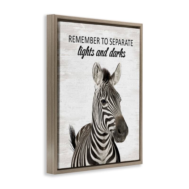 Stupell Remember To Separate Laundry Framed Floater Canvas Wall Art Design By Lettered and Lined