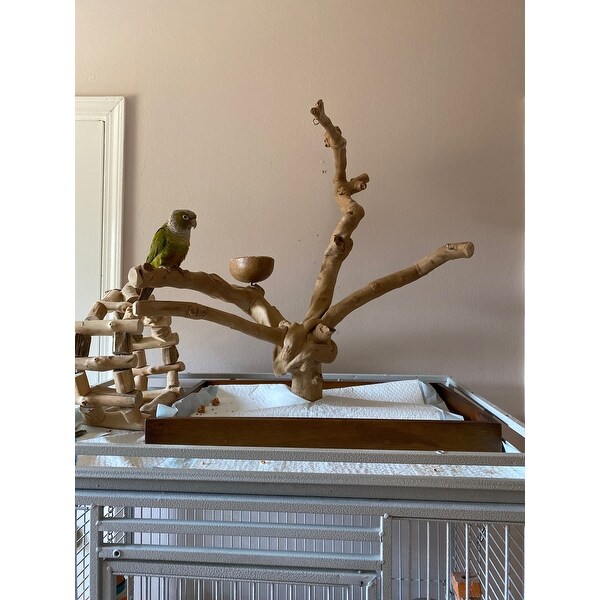 Prevue Pet Products Coffeawood Java Tree Minis Medium Table Top Playstand Model Overstock