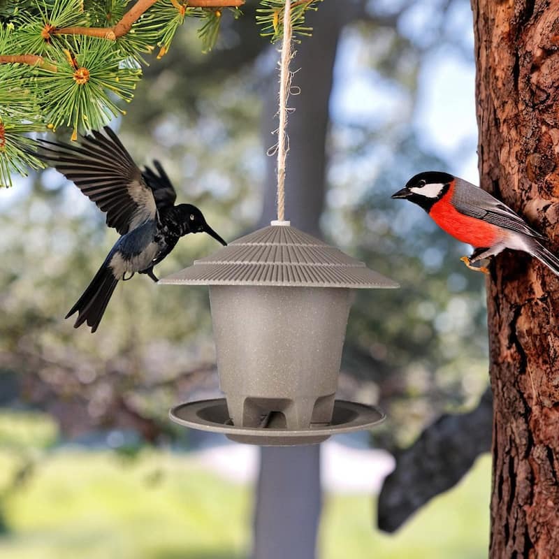 Earthy Sustainable Deluxe Outdoor Round Bird Feeders 8.6"Dia x 7.5"H