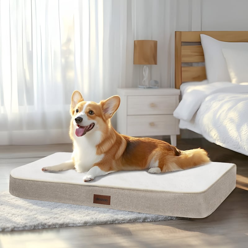 Orthopedic Dog Bed with Washable Cover - 36x27x3 - Khaki/White