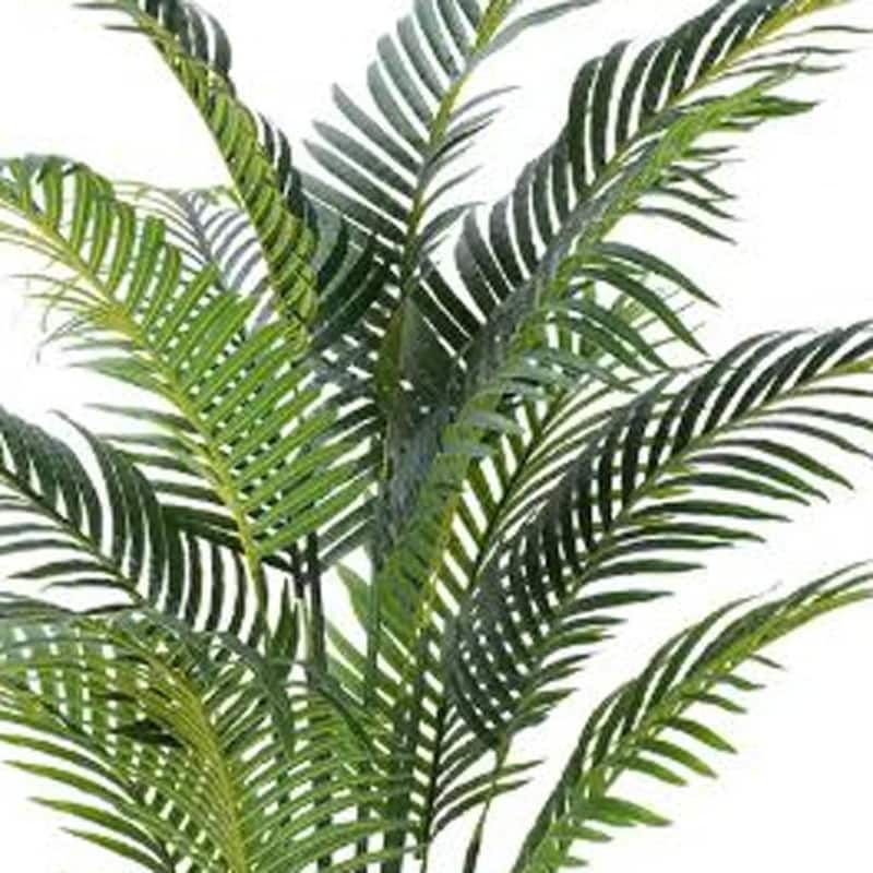 HomeRoots 59" Green Artificial Palm Tree in a Black Pot - 6.69 in. x 59.06 in. x 6.69 in.