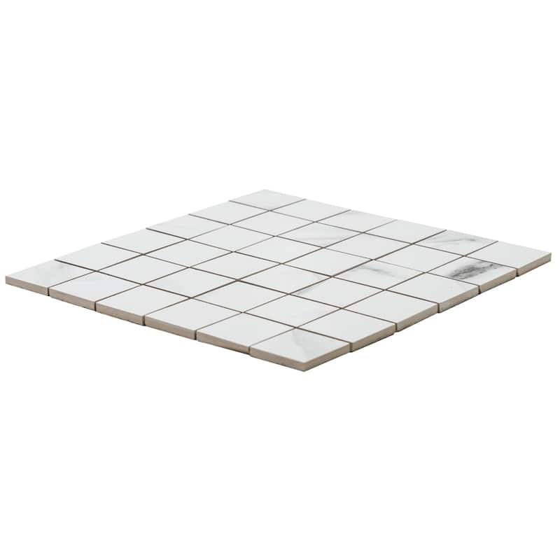The Tile Life Tmolus 2x2 Porcelain Floor & Wall Tile