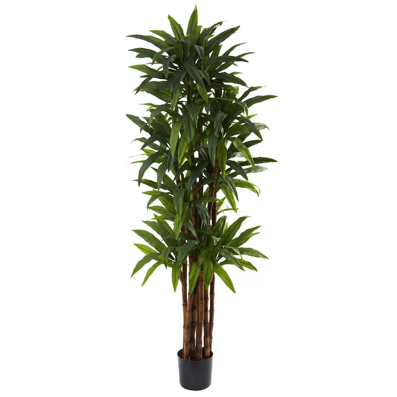 Dracaena Tree Indoor Plant 6.5ft Tall Modern Home Office Decor - 6.5ft.