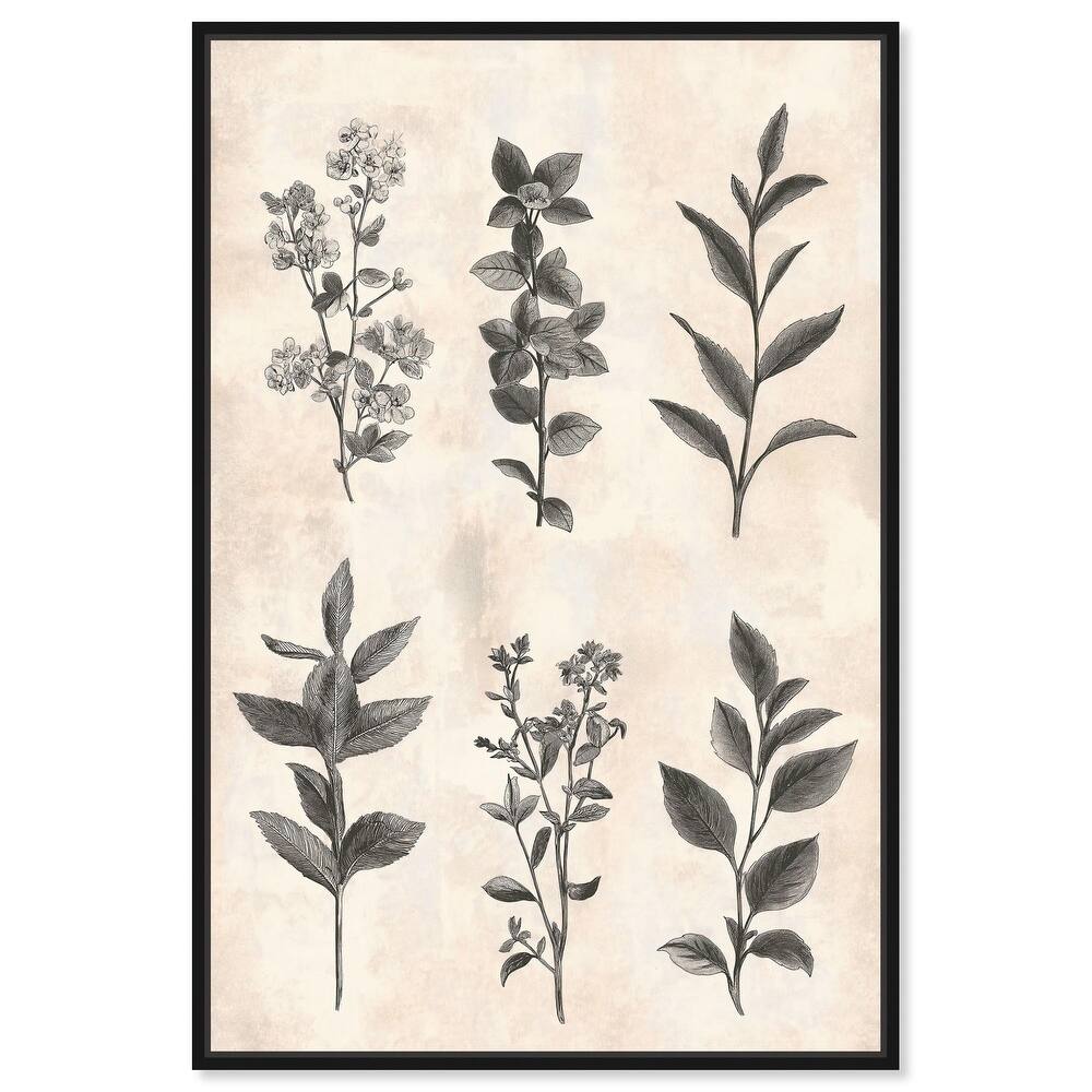 Sepia Stems Canvas by Art Remedy