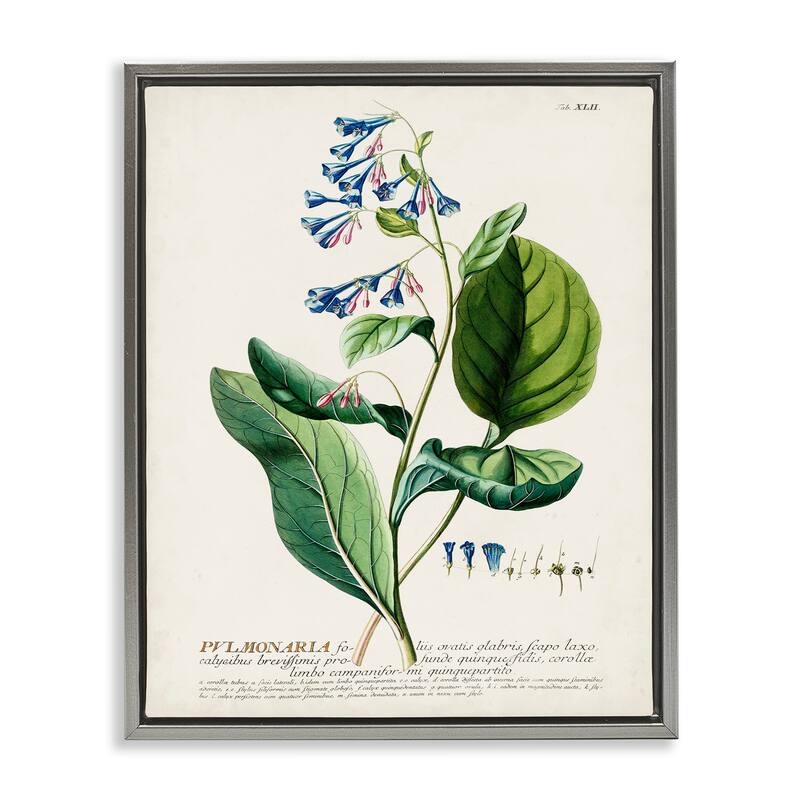Stupell Botanical Plant Illustration Blue Flowers Vintage Design Floater Frame - Green - 17 x 21 - Grey