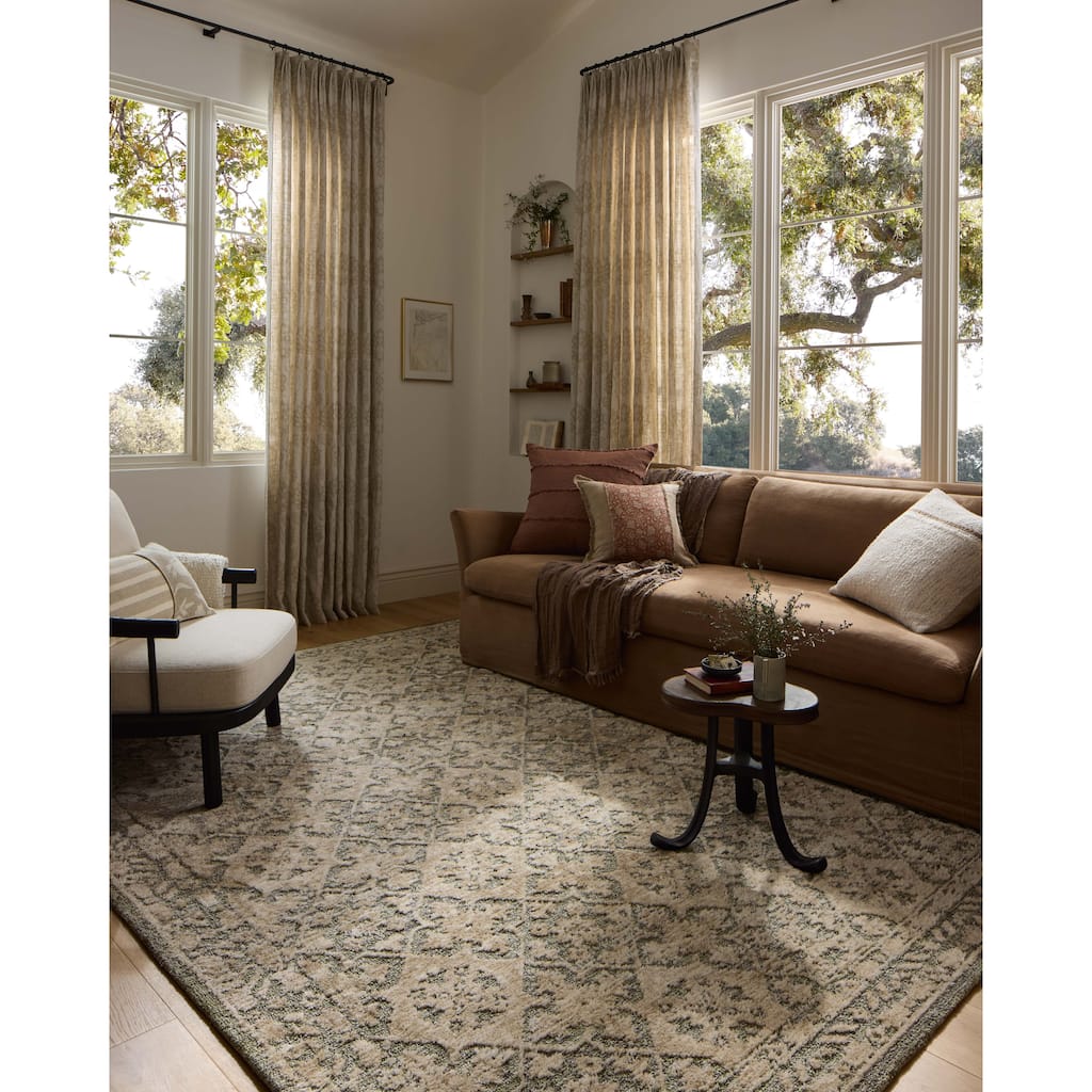 Alexander Home Paxen Traditional Area Rug