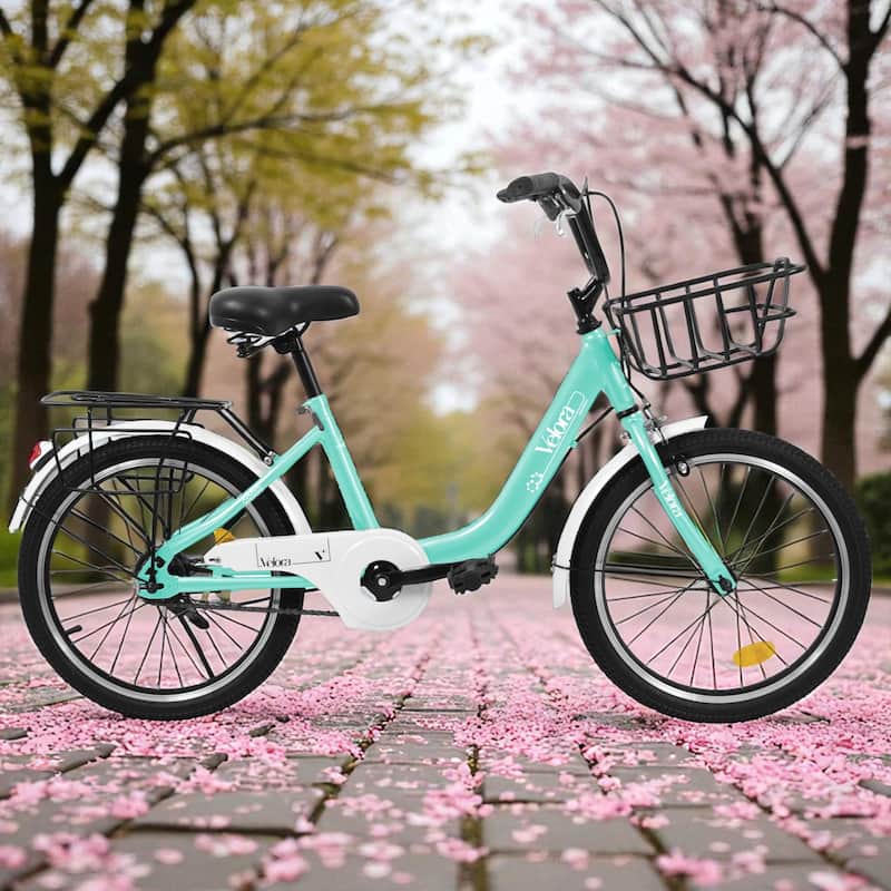 20 Inch Kids Bike for Boys & Girls, Single Speed Bicycle with Coaster Brake, V-Brake & Rear Rack