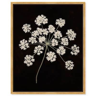 Umbel of Light II Canvas by Art Remedy