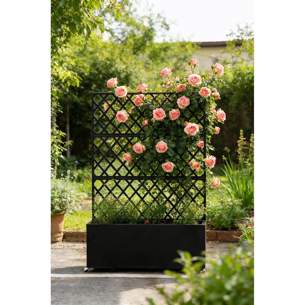 Galvanized Steel Raised Garden Bed, with Trellis & Privacy Screen