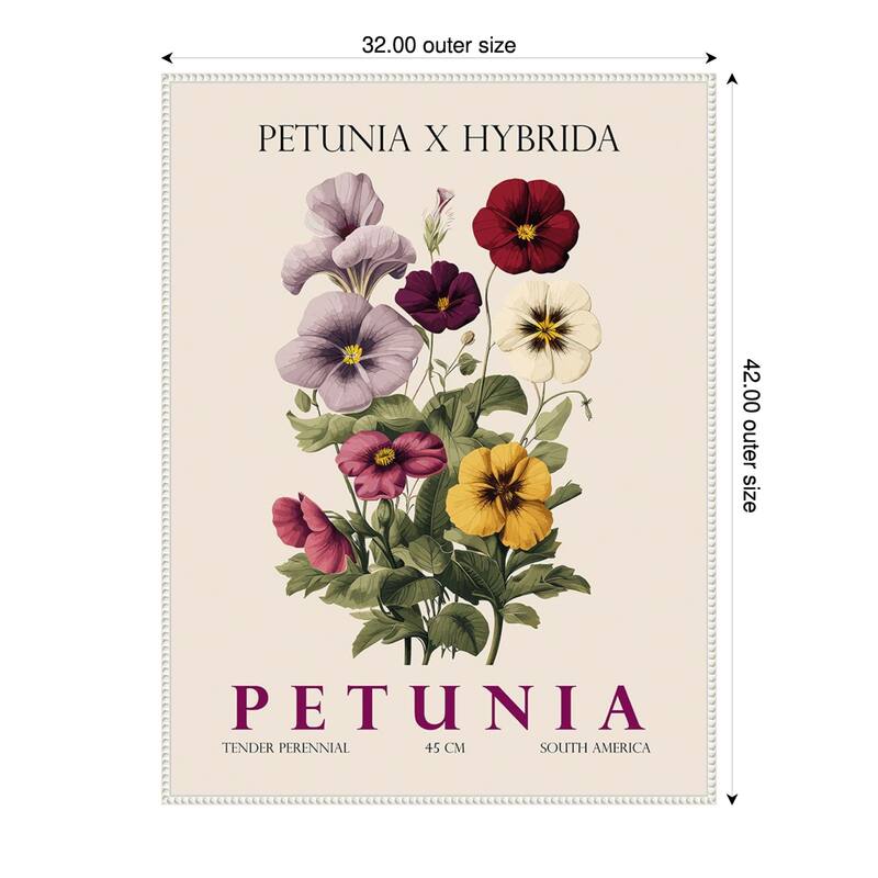 Vintage Botanical Petunia Illustration by Christopher Giampietro Framed Canvas Wall Art Print - White - 32 x 42 in