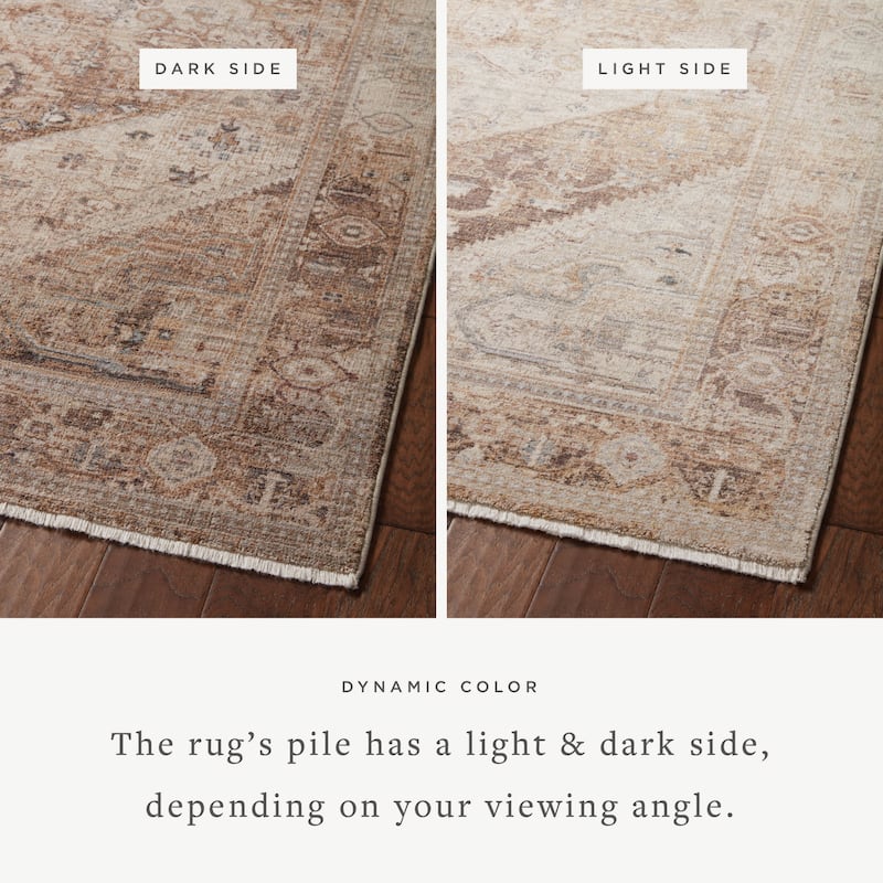 Alexander Home Lynda Persian Medallion Area Rug