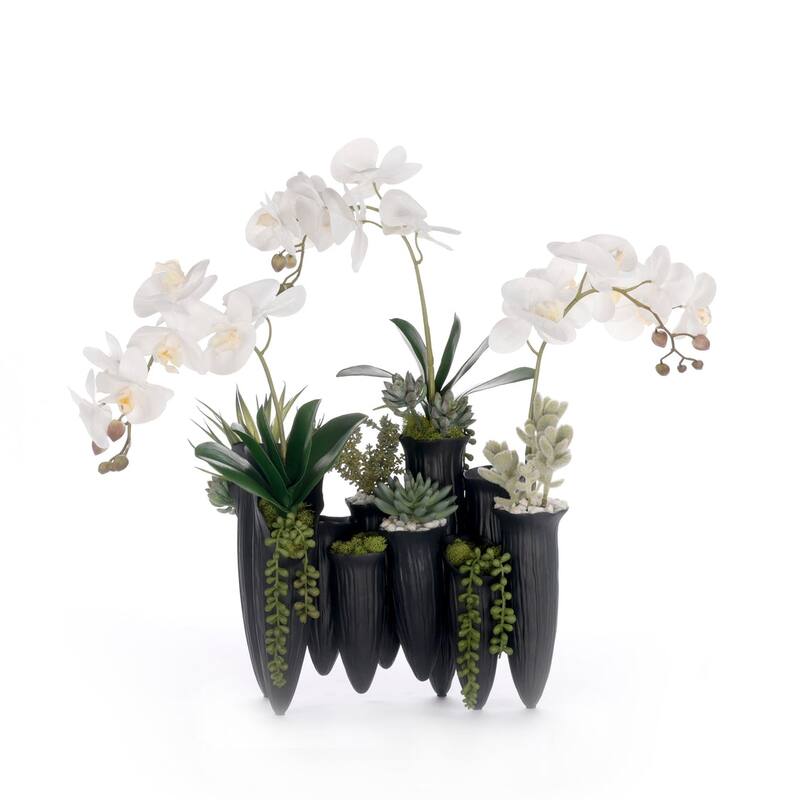 Real Touch White Orchid Succulent Floral in Black Pot