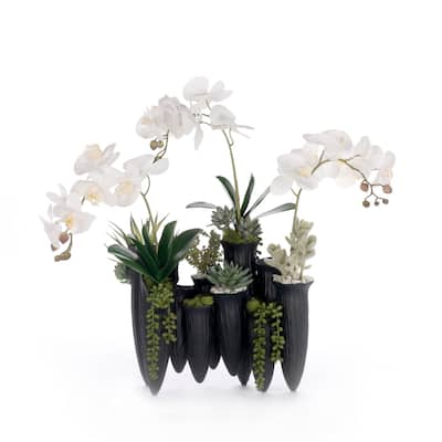 Real Touch White Orchid Succulent Floral in Black Pot