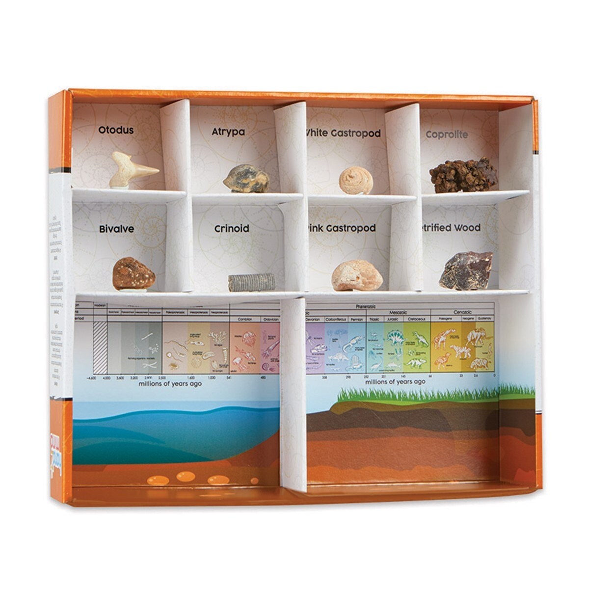 Details about   HAND2MIND DIG & DISPLAY FOSSIL KIT CONTAINS 8 FOSSILS 