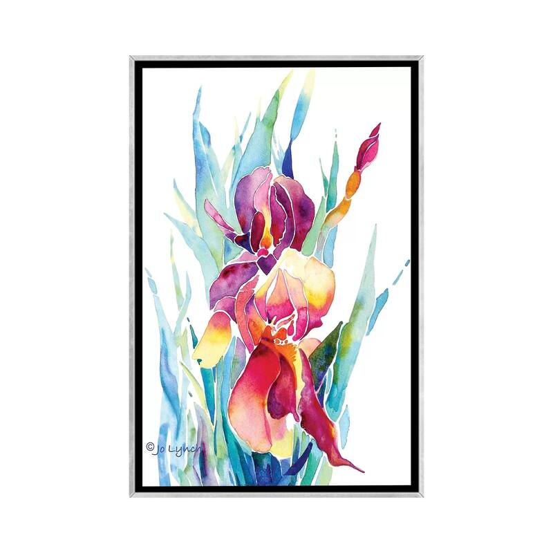 iCanvas "Iris Flower" by Jo Lynch Framed