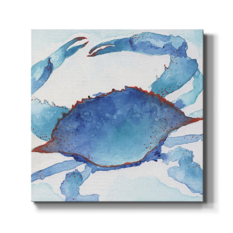 Galapagos Crab-Premium Gallery Wrapped Canvas - Ready to Hang