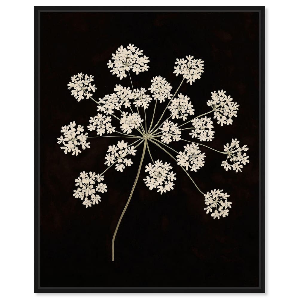 Umbel of Light II Canvas by Art Remedy