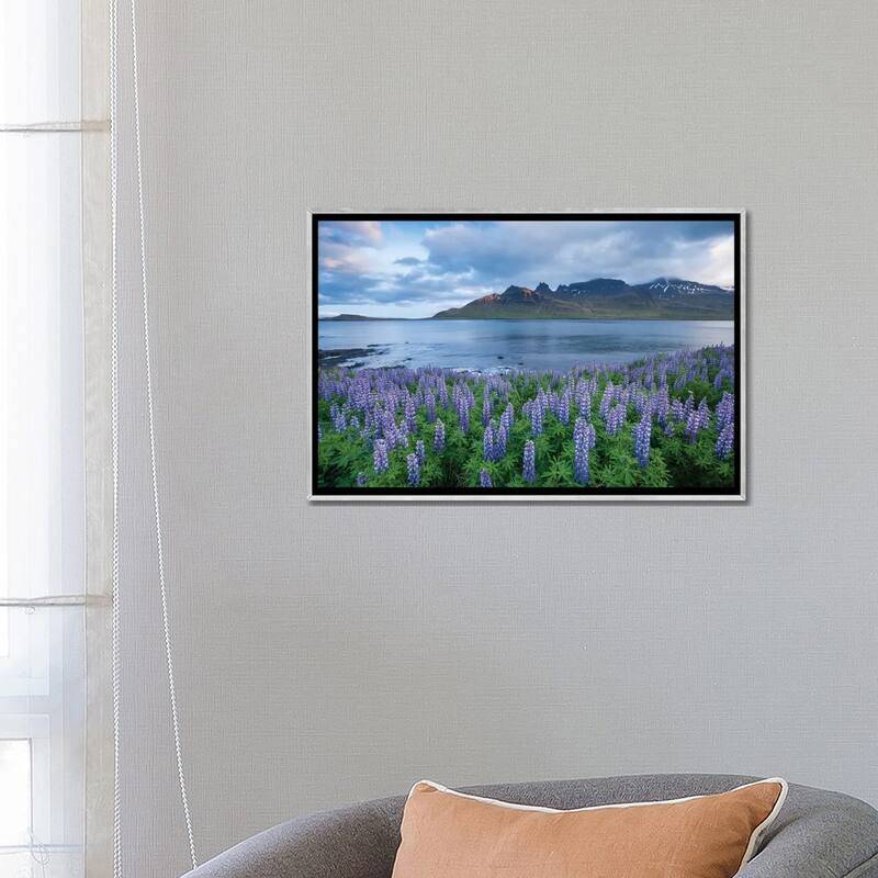 iCanvas "Nootka Lupines I, Stodvarfjordur Fjord, Austurland, Iceland" by Gareth McCormack Framed
