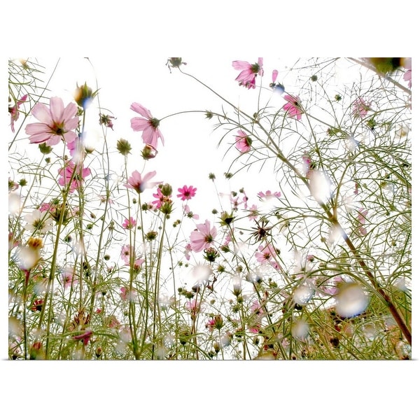 "Wildflowers in the rain" Poster Print