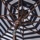 preview thumbnail 12 of 23, SAFAVIEH Athens Inside Out Striped 9-foot Outdoor Umbrella