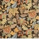 preview thumbnail 57 of 64, SAFAVIEH Handmade Blossom Christiana Modern Floral Wool Rug 6' Square - Black/Multi - Square