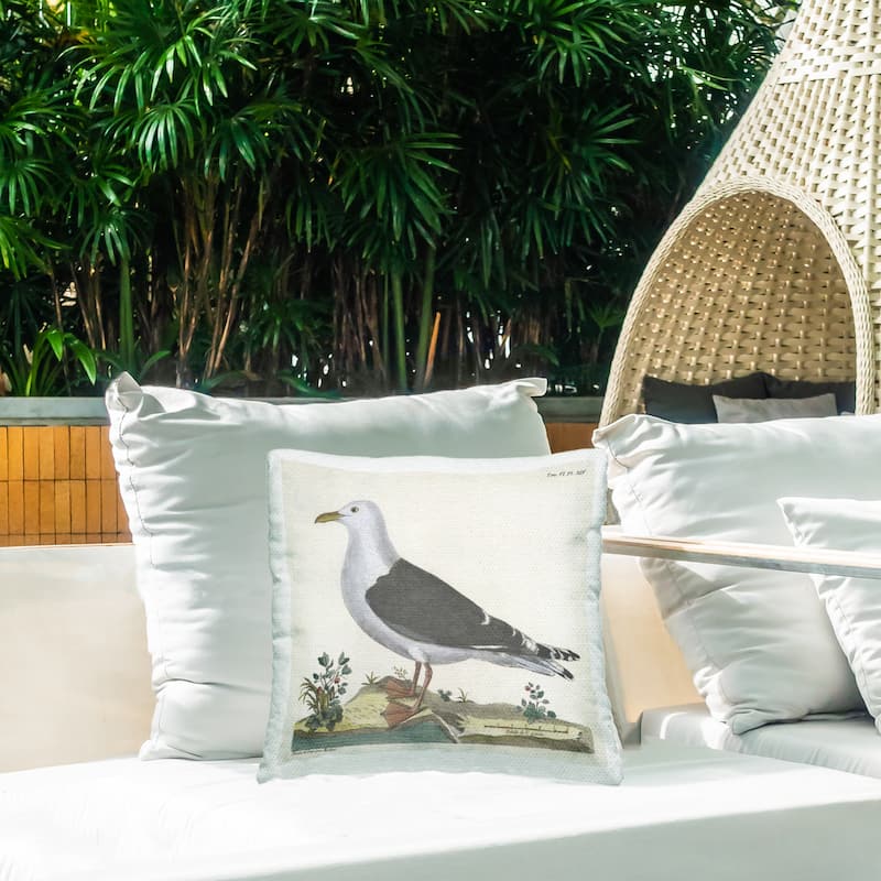 Stupell Vintage Seagull Study Diagram Printed Outdoor Throw Pillow Design by Phillipa Katz