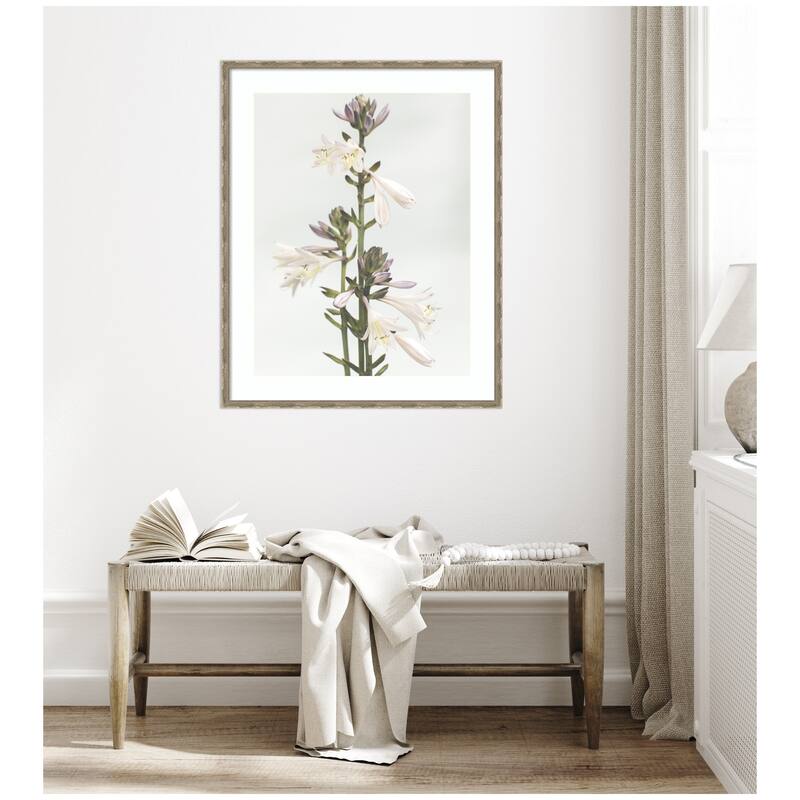 Kate and Laurel Framed Art Hosta by Alicia Abla