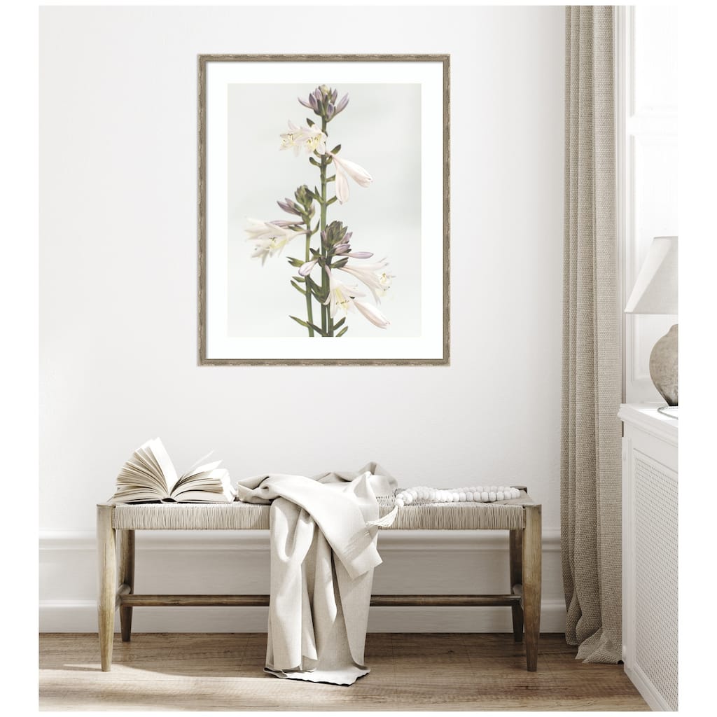 Kate and Laurel Framed Art Hosta by Alicia Abla