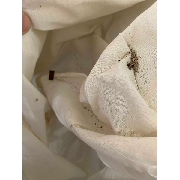 Safavieh Damari Natural Rattan Grey Storage Hamper With Liners 18 4 X 15 7 X 25 On Sale Overstock 10857365 See more ideas about house design, interior design, house interior. overstock com