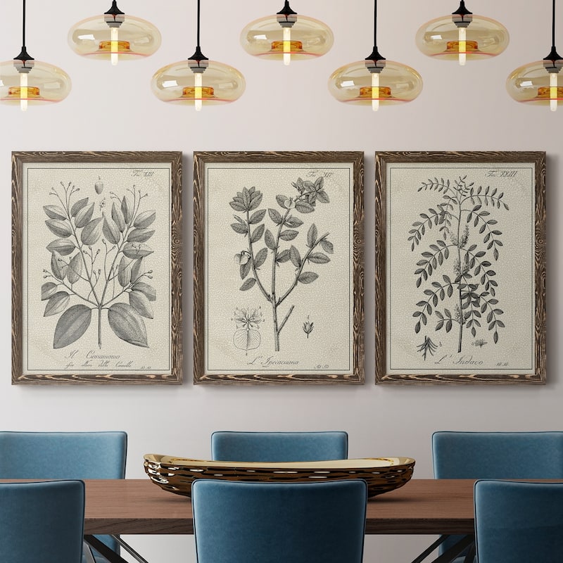 Antique Black & White Botanical VII-Premium Framed Canvas - Ready to Hang - Multi-Color
