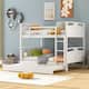 Option White