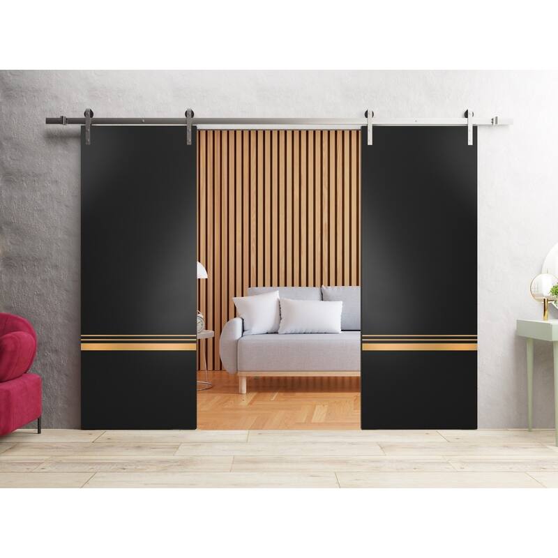 Sturdy Double Barn Door 36 x 80 with Planum 2010 Matte Black with 13FT