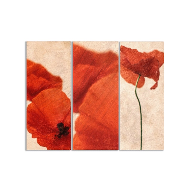 "Three Red" Framed 3-Piece Wall Art Set by Delphine Devos