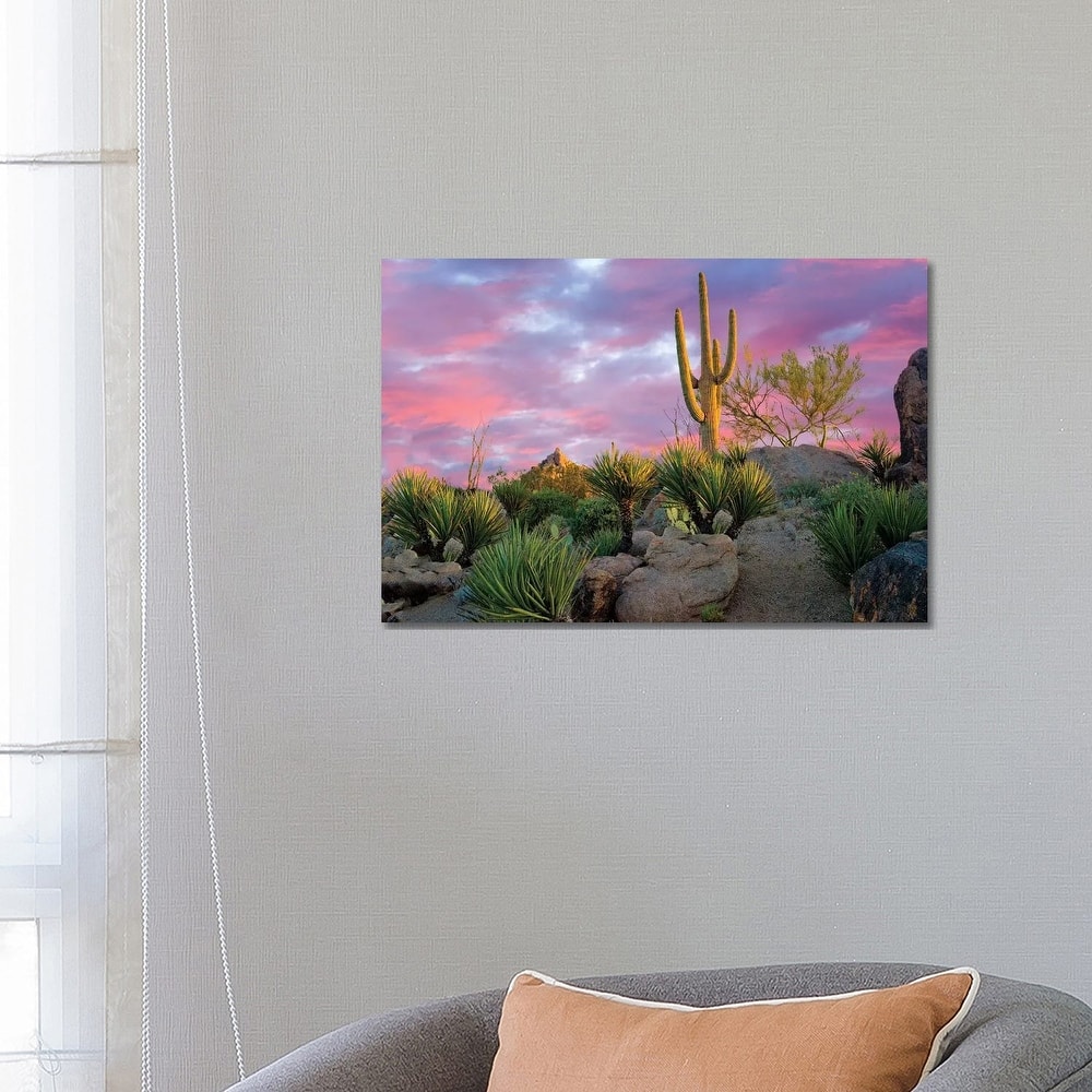 iCanvas "Cactus Garden Sunrise" by Dennis Frates Canvas Print