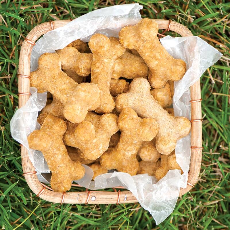 Nordic Ware 2 Piece Puppy Love Treat Pan and Dog Treat Mix - Blue