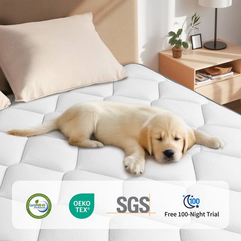 SweDrea 12 in. Firm Gel Memory Foam Mattress with CertiPUR-US and Oeko-TEX , Featuring Bamboo Charcoal Absorption.
