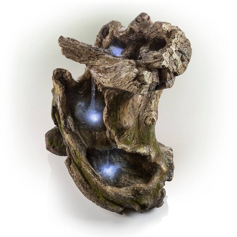 Curved Log Rainforest w/ LED light