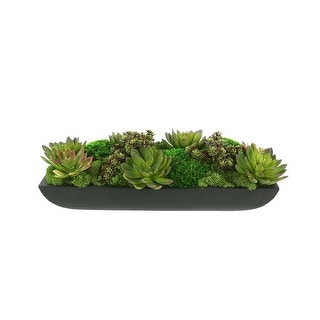 Assorted Moss and Succulents in an Oblong Fiberstone Planter - Green