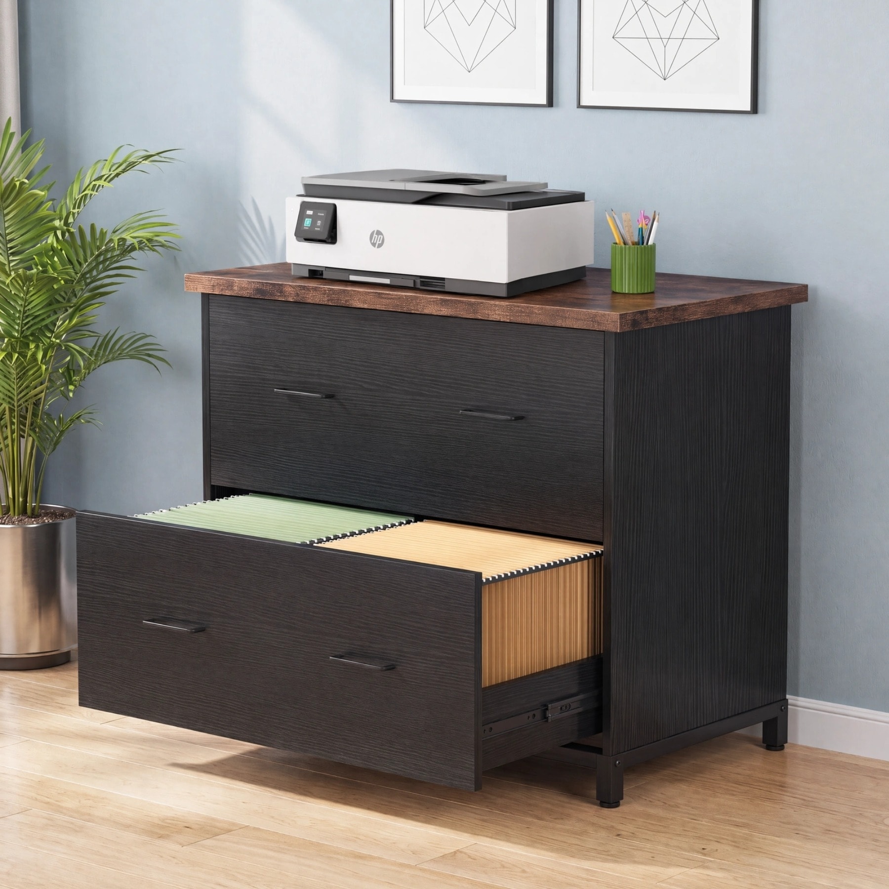 2-Drawer Lateral File Cabinet, 30.7-Inch Filing Cabinets for Home Office