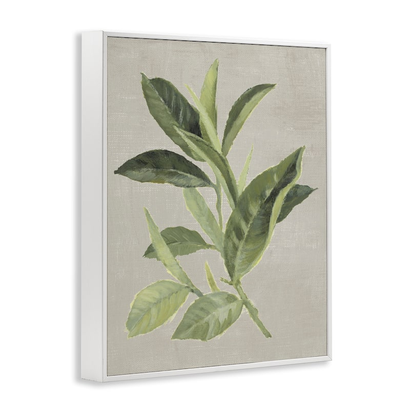 Stupell Green Tea Plant Leaf Framed Giclee Art Design By Lanie Loreth