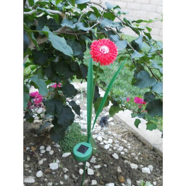Shop Decorative Red Bloom Onion Flower Solar Light White Led