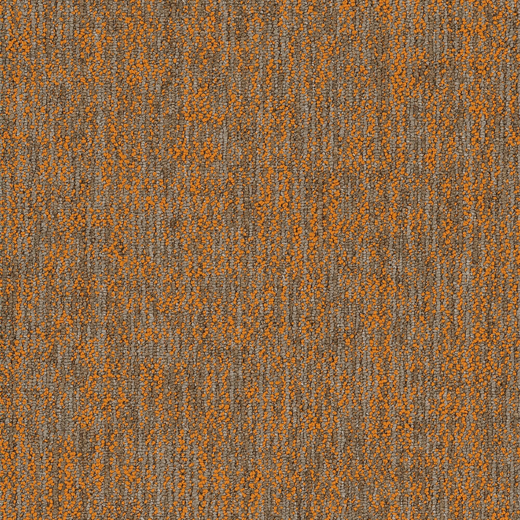 Shaw Philadelphia Commercial Crazy Smart 18" x 36" Glue Down Carpet