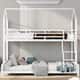 Option White