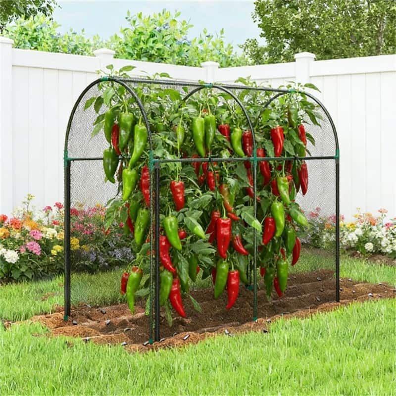 Crop cage, plant cage, garden cage, black - Black