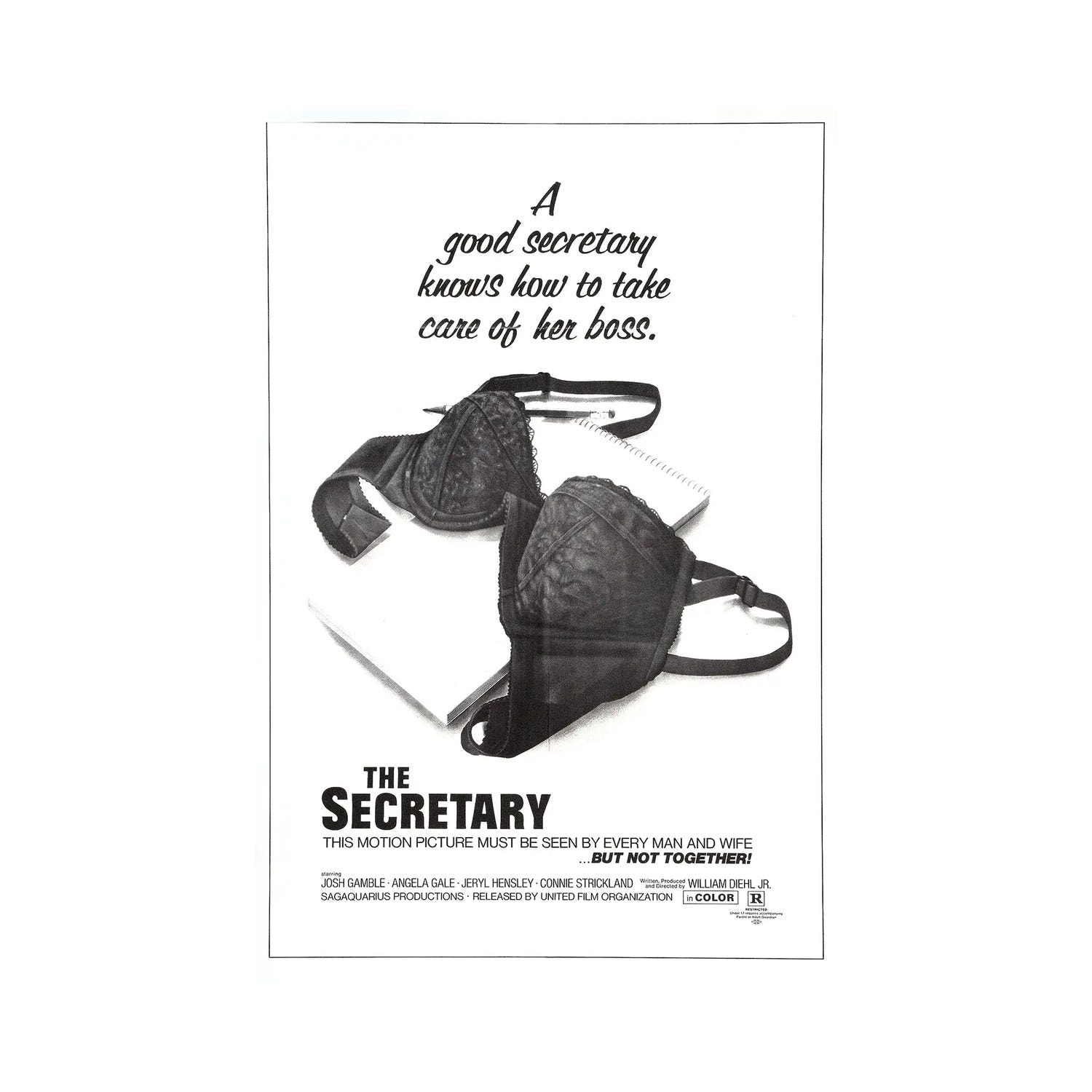 "Secretary" by Radio Days Canvas Print