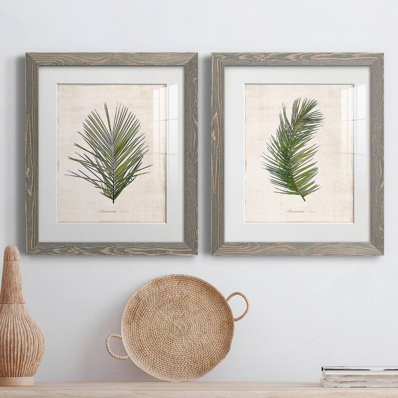 Palm Botanical I-Premium Framed Print - Ready to Hang