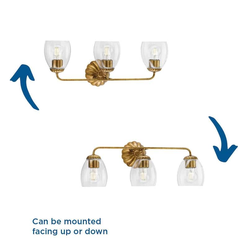 Progress Lighting P300490 Quillan 3 Light 24" Wide Vanity Light