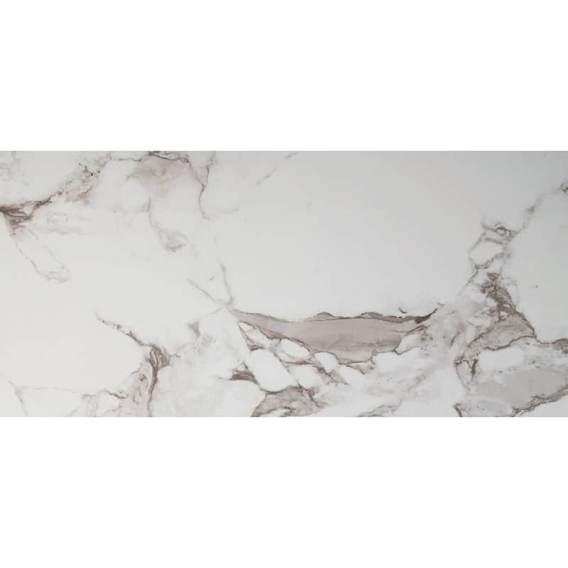 Ackland AKNPTAST12X24P-CA Astoria - 12" x 24" Porcelain Solid Floor - Lucio