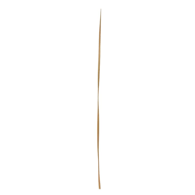 Dried Plant Tall Sticks Home Decor Natural Foliage - Brown - Roche River Decor